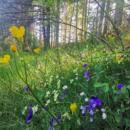 Апартаменти La Casa Di Fantalegno Камільятелло-Сілано Екстер'єр фото
